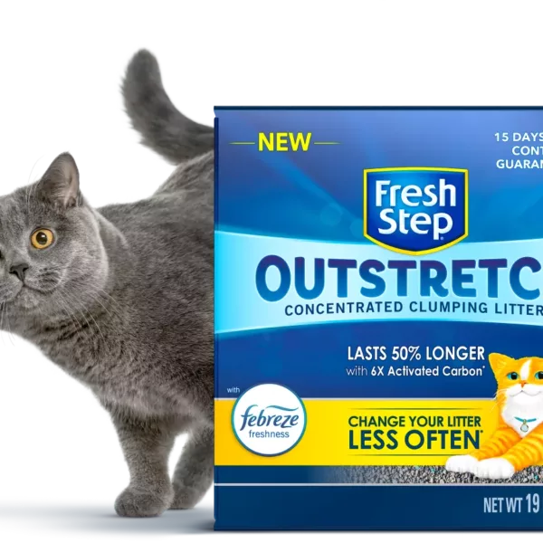 Hero aside desktop 2x