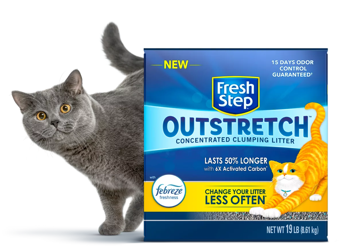 Hero aside desktop 2x